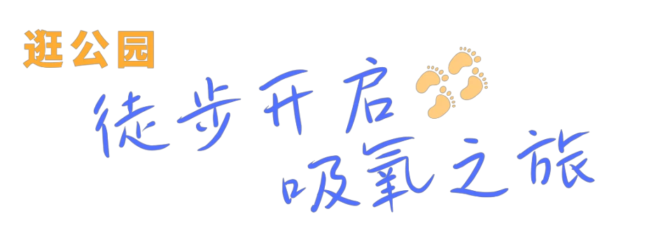 中年篮球爱好者的防守训练方案_2
